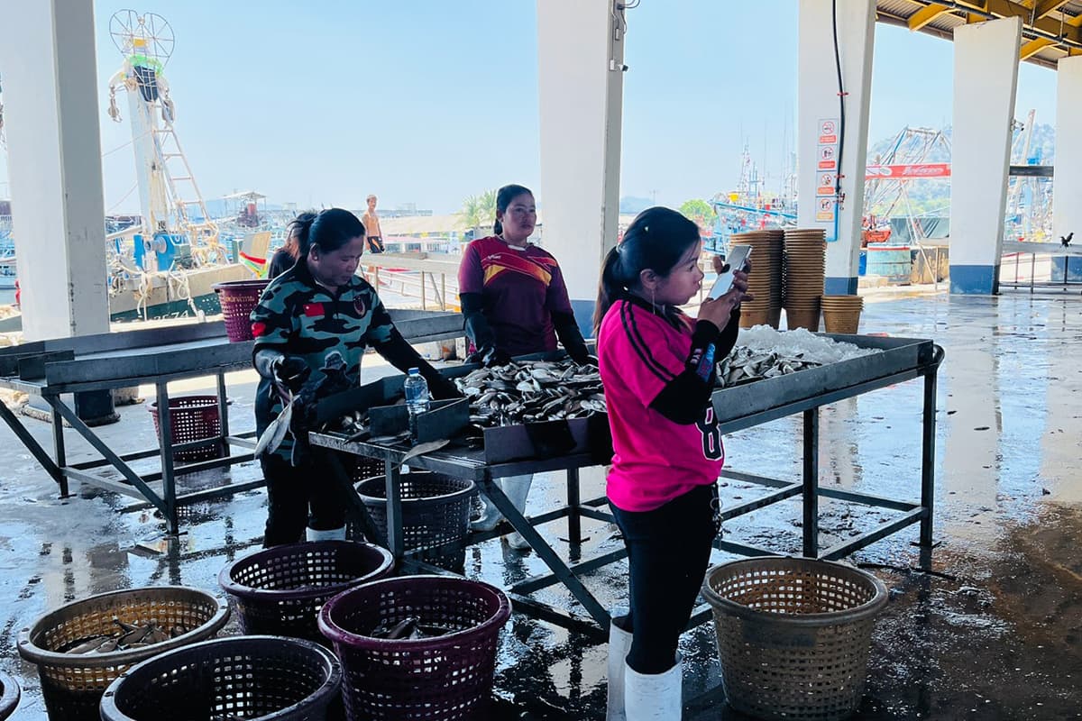 Phuket-fishermen-are-reeling-from-high-fuel-prices-fearing-a-disruption-SPACEBAR-Photo01.jpg