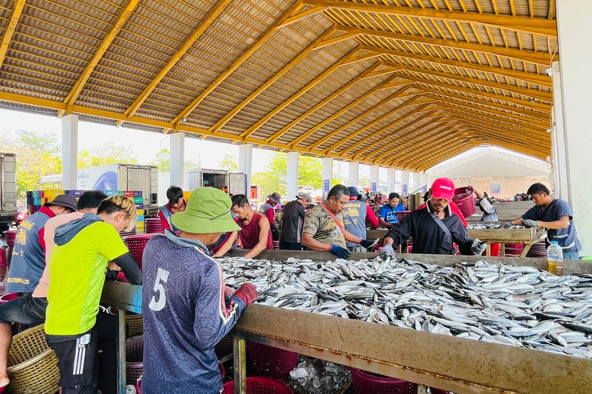 Phuket-fishermen-are-reeling-from-high-fuel-prices-fearing-a-disruption-SPACEBAR-Photo04-1.jpg