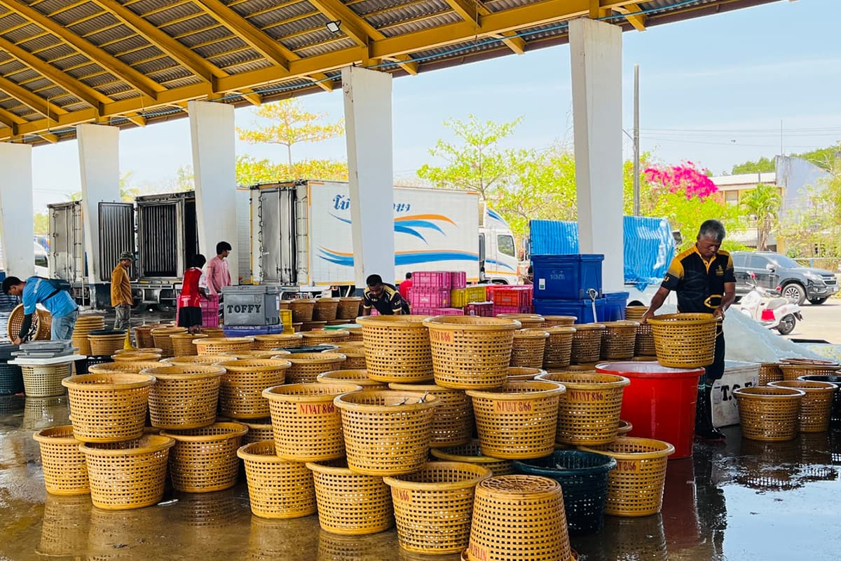 Phuket-fishermen-are-reeling-from-high-fuel-prices-fearing-a-disruption-SPACEBAR-Photo05.jpg
