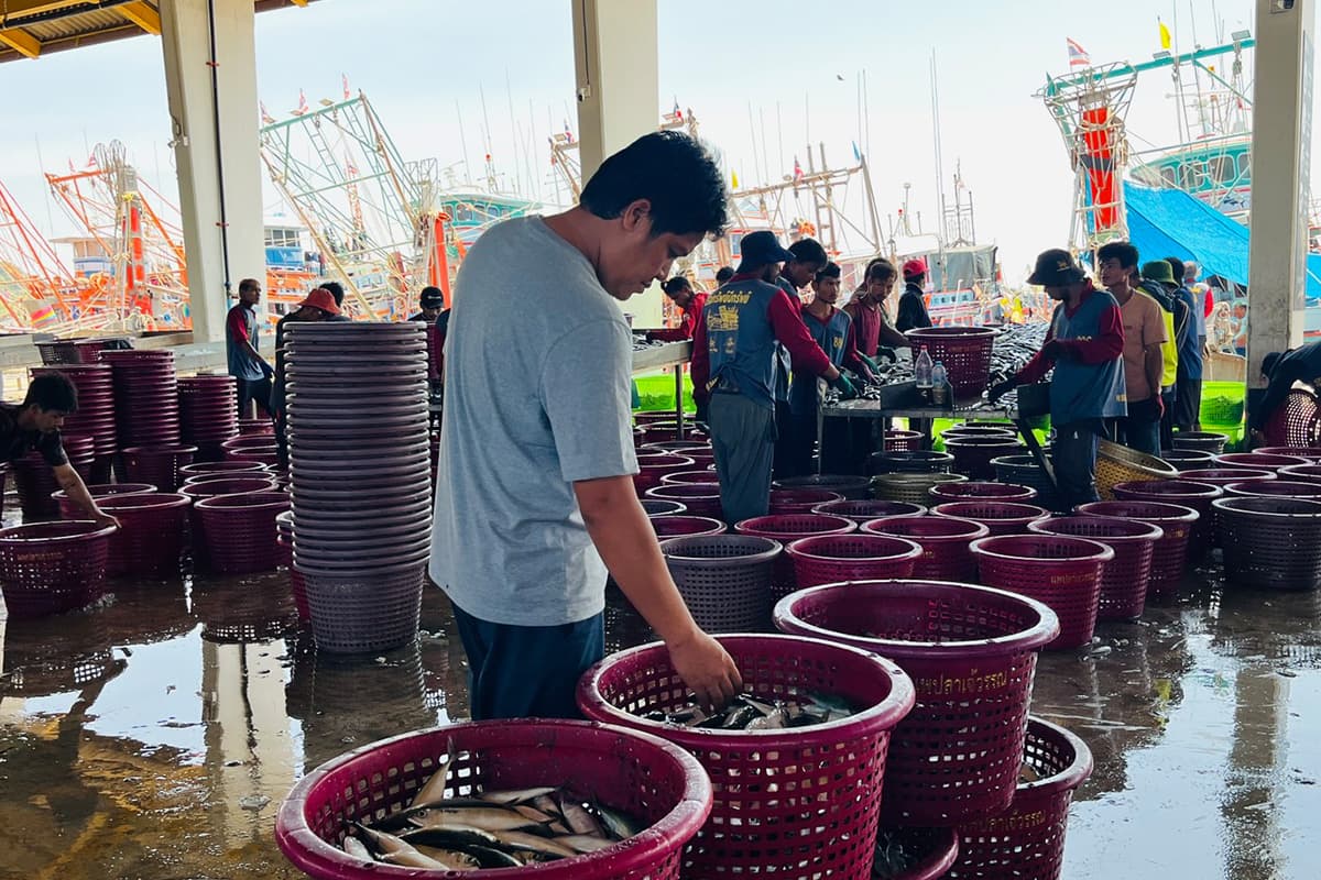 Phuket-fishermen-are-reeling-from-high-fuel-prices-fearing-a-disruption-SPACEBAR-Photo06.jpg