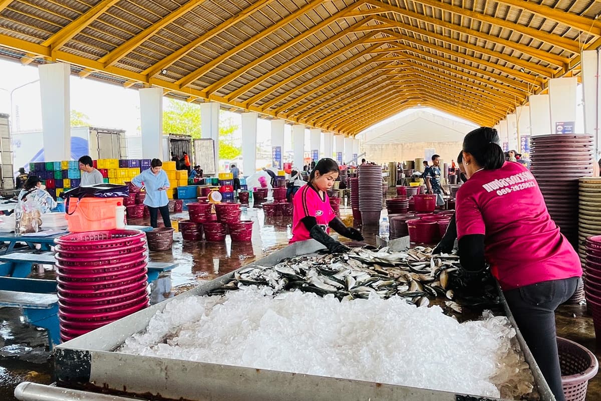 Phuket-fishermen-are-reeling-from-high-fuel-prices-fearing-a-disruption-SPACEBAR-Photo07.jpg