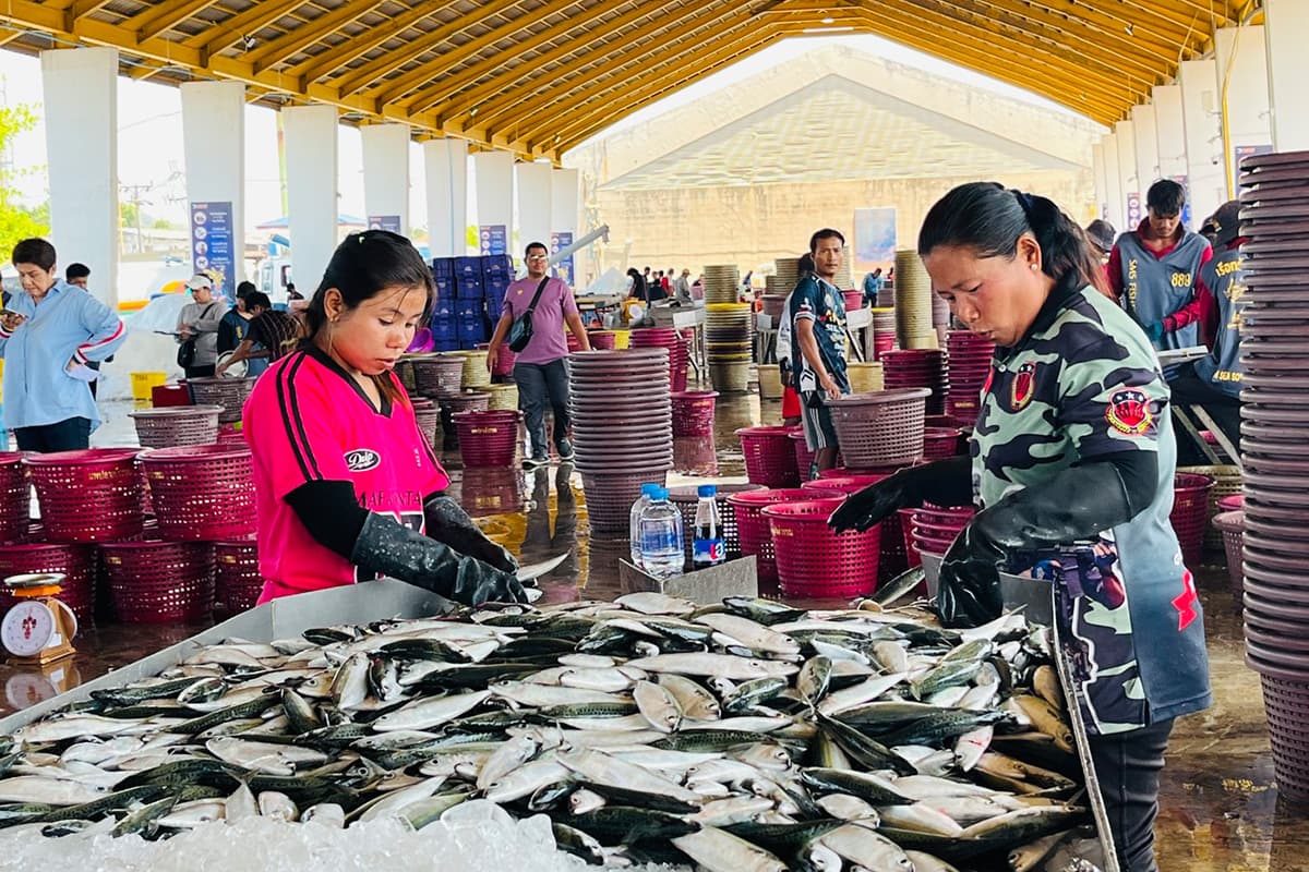Phuket-fishermen-are-reeling-from-high-fuel-prices-fearing-a-disruption-SPACEBAR-Photo08.jpg