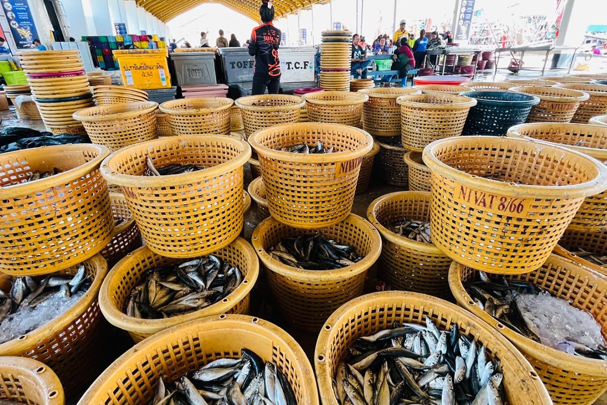 Phuket-fishermen-are-reeling-from-high-fuel-prices-fearing-a-disruption-SPACEBAR-Photo12.jpg