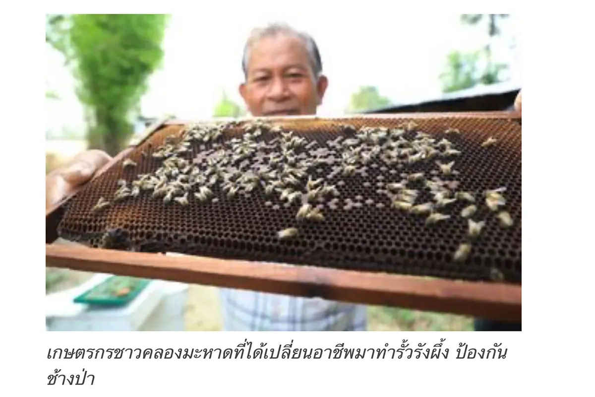 Princess-Bajrakitiyabha-royal-initiative-to-solve-the-human-elephant-conflict-SPACEBAR-Photo14-1.jpg
