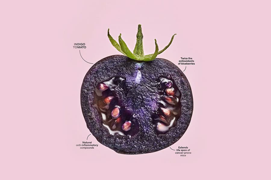 Purple_tomato_SPACEBAR_Photo01_0e05bd2043.jpeg
