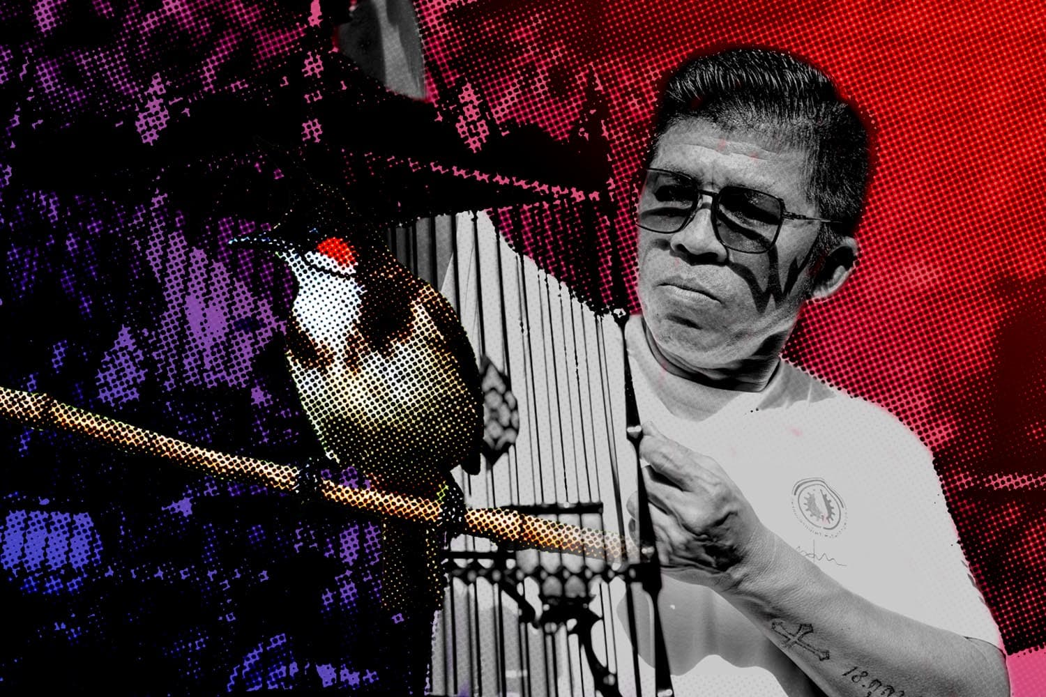 Reasons_for_claims_from_bird_breeders_red_whiskered_bulbul_SPACEBAR_Hero_2d9756a456.jpg