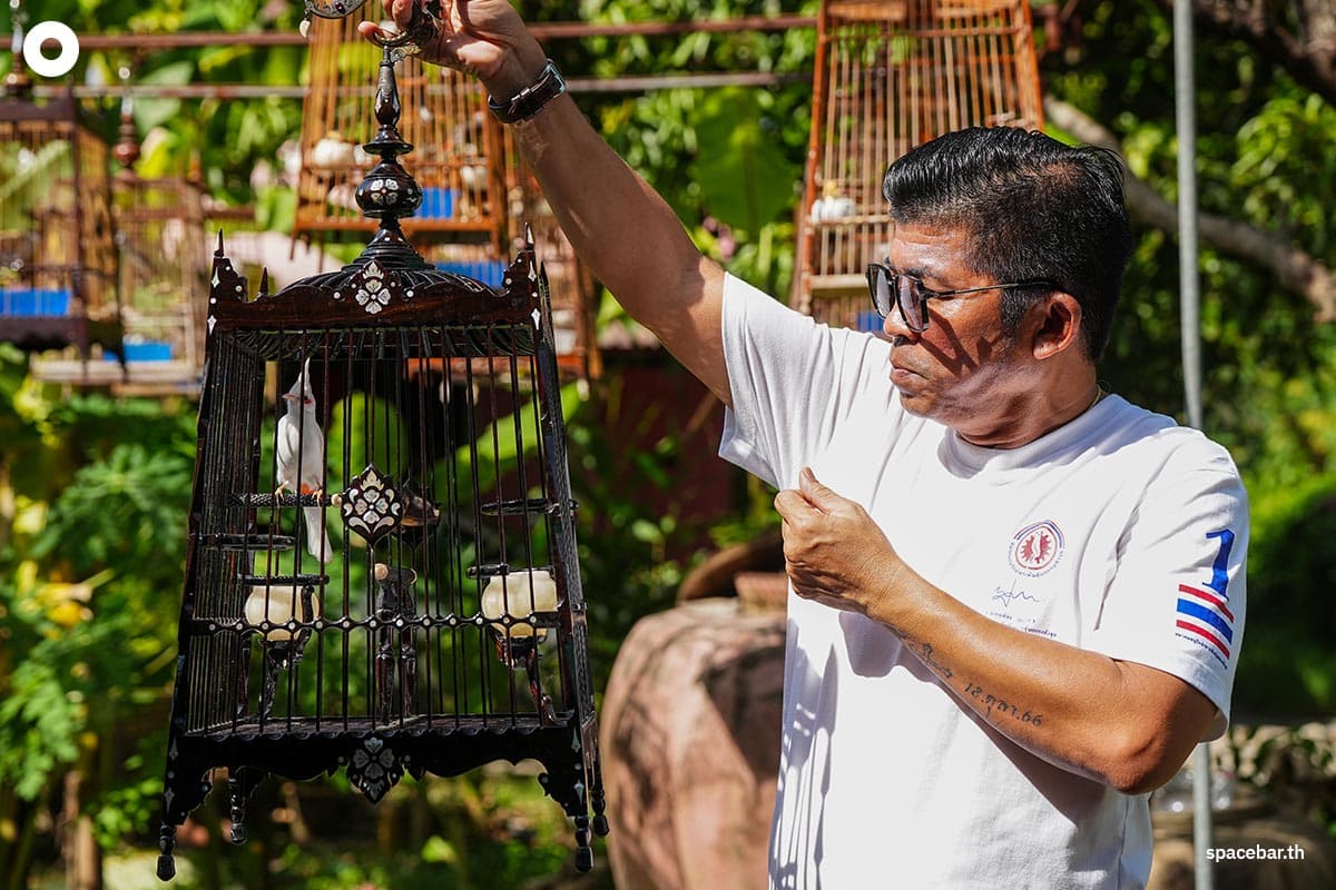 Reasons_for_claims_from_bird_breeders_red_whiskered_bulbul_SPACEBAR_Photo03_7a790f731d.jpg