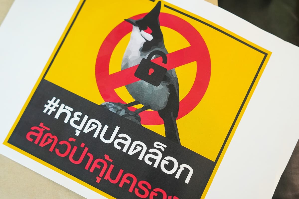 Red_whiskered_Bulbul_Conflict_politician_Environmentalists_and_bird_conservation_SPACEBAR_Photo08_131106cf3f.jpg