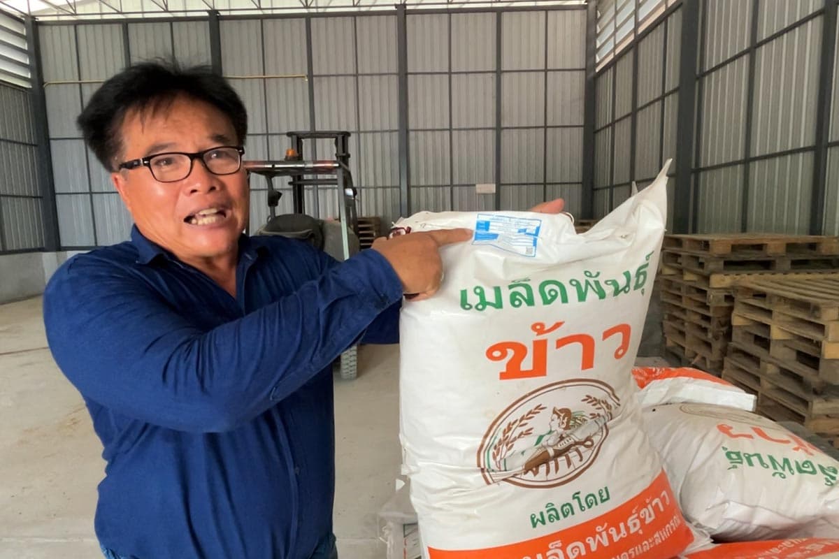 Revealing_the_survival_plan_for_farmers_who_grow_their_own_rice_to_sell_in_the_face_of_the_tariff_wall_of_Donald_Trump_USA_SPACEBAR_Photo02_d5ce1e3edb.jpg