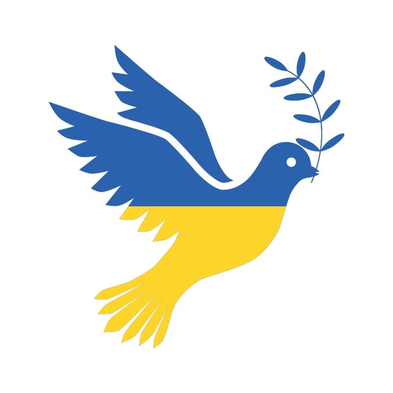 Russias_invasion_of_Ukraine_changed_the_world_SPACEBAR_Photo06_fad3fbf57f.jpeg