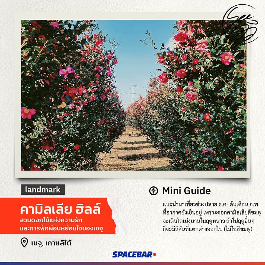 SEE_VIEW_Jeju_Camellia_Hill_SPACEBAR_Photo01_d5fe0236ed.jpeg