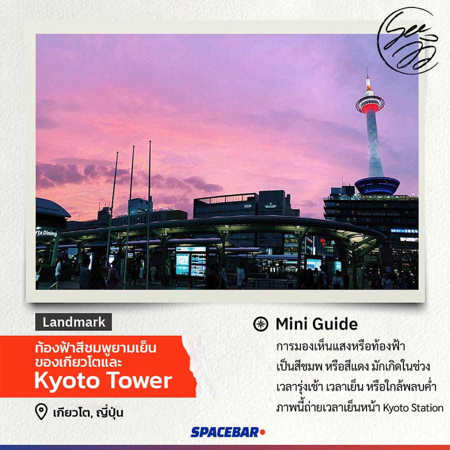 SEE_VIEW_PINK_KYOTO_TOWER_SPACEBAR_Photo01_03a7bbfd8b.jpeg