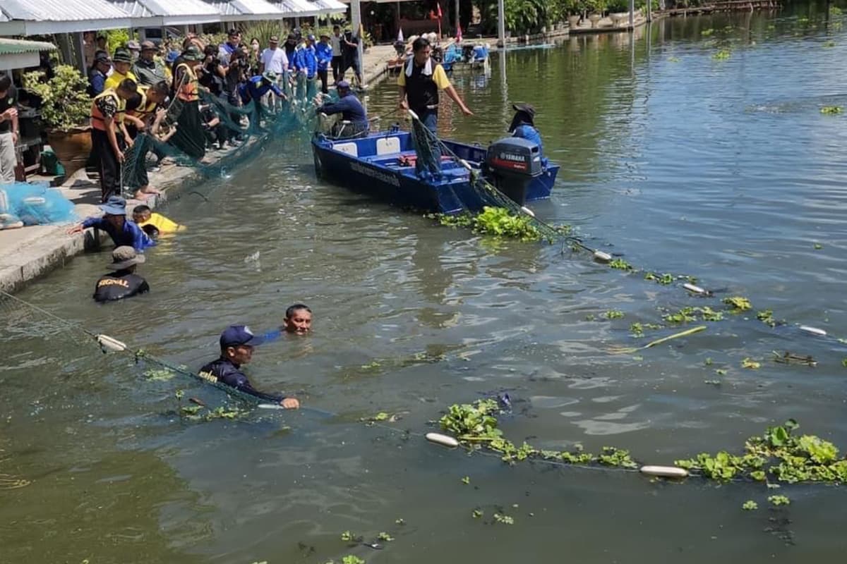 Samut_Sakhon_opens_operations_Hunting_black_chinned_cichlid_SPACEBAR_Photo02_4a84d03c99.jpg