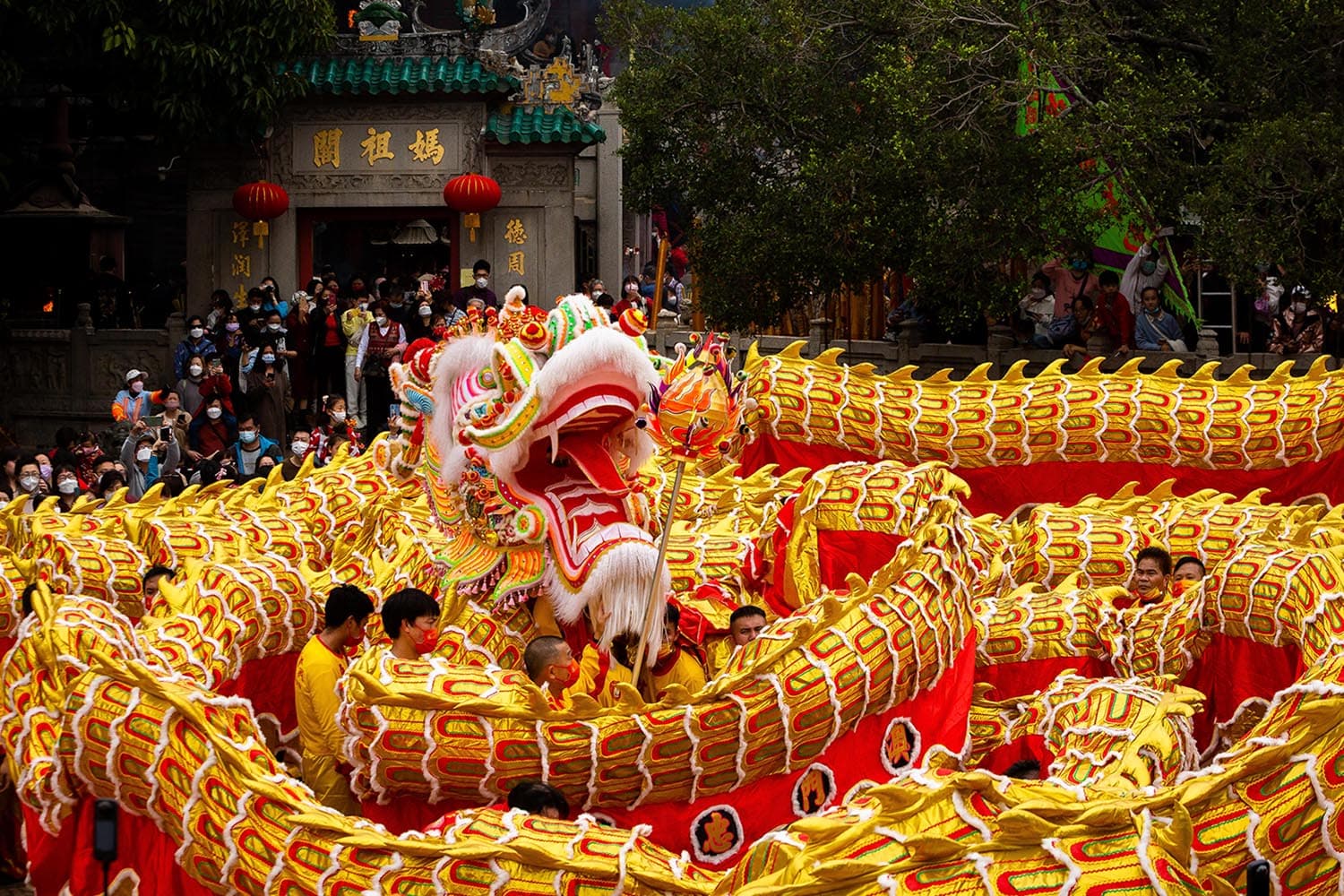 Shot_of_the_day_Chinese_lunar_new_year_Macau_dragon_dance_A_Ma_Temple_SPACEBAR_Hero_3780e2767b.jpeg