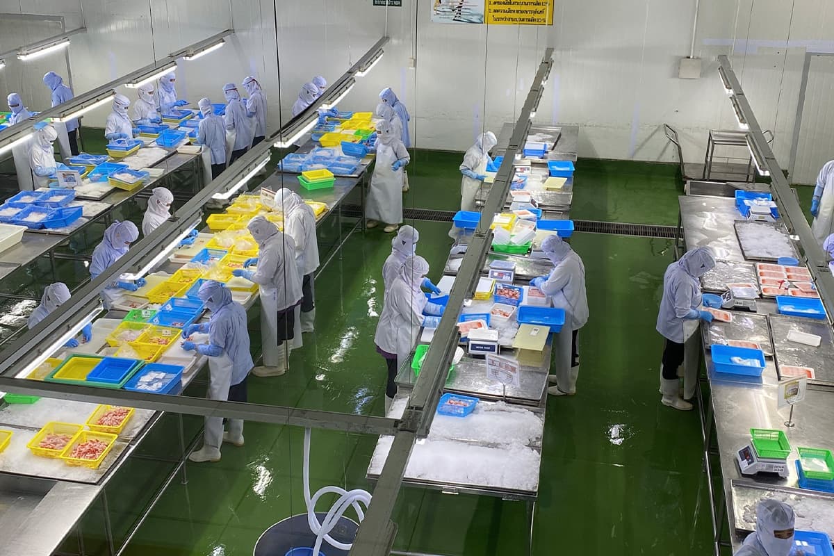Shrimp-farmers-in-the-South-are-facing-a-shortage-of-shrimp-breeds-SPACEBAR-Photo07-1.jpg