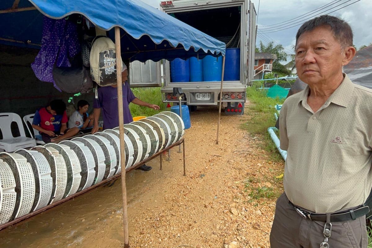 Shrimp-prices-plummet-farmers-in-Trang-province-urge-government-assistance-SPACEBAR-Photo07.jpg