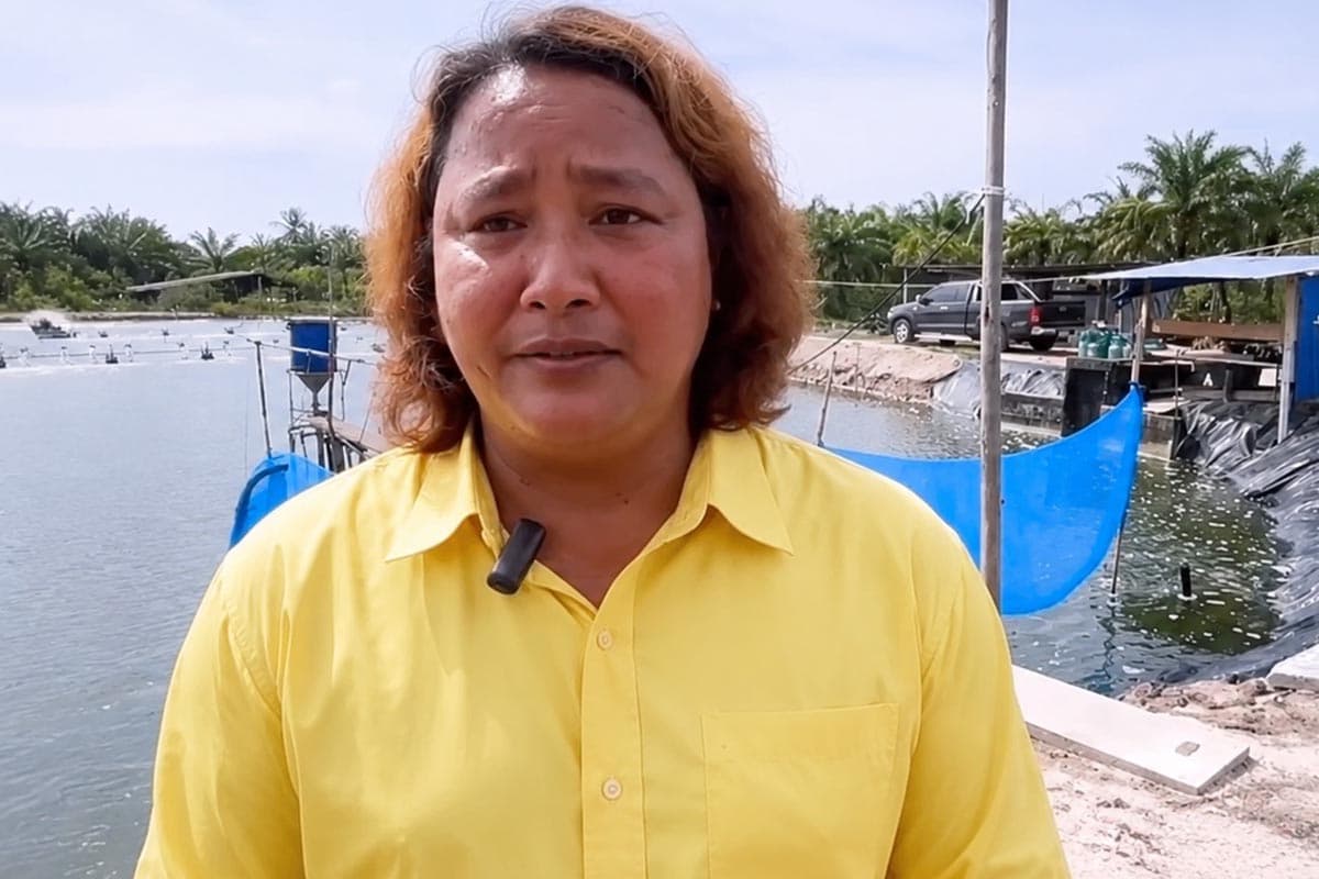 Shrimp-prices-plummet-farmers-in-Trang-province-urge-government-assistance-SPACEBAR-Photo14.jpg