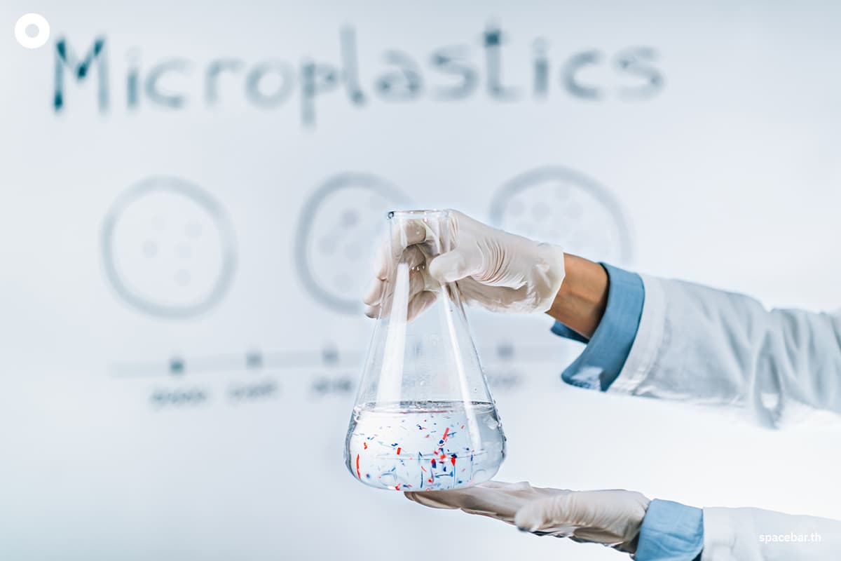 Study_found_microplastics_in_dog_and_human_testicles_may_affect_male_infertility_SPACEBAR_Photo01_d2e3d7bb5b.jpg