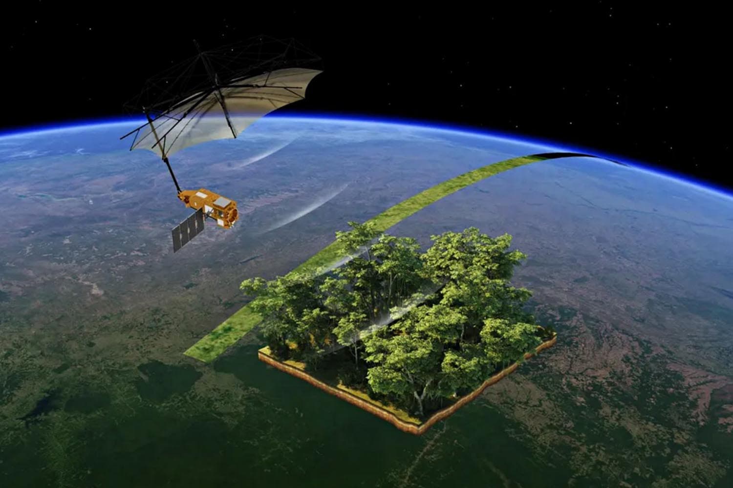 Sustainability_first_ever_space_mission_to_weigh_forests_takes_off_SPACEBAR_Hero_6064d5fcc6.jpg