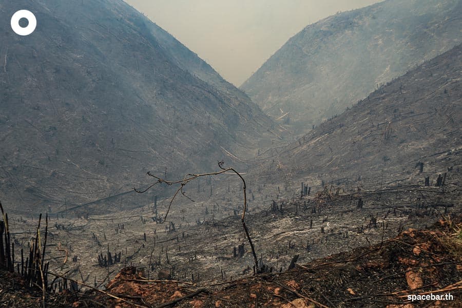 TAGCLOUD_documentary_hunting_forest_fire_3_SPACEBAR_Photo02_db2c951175.jpeg