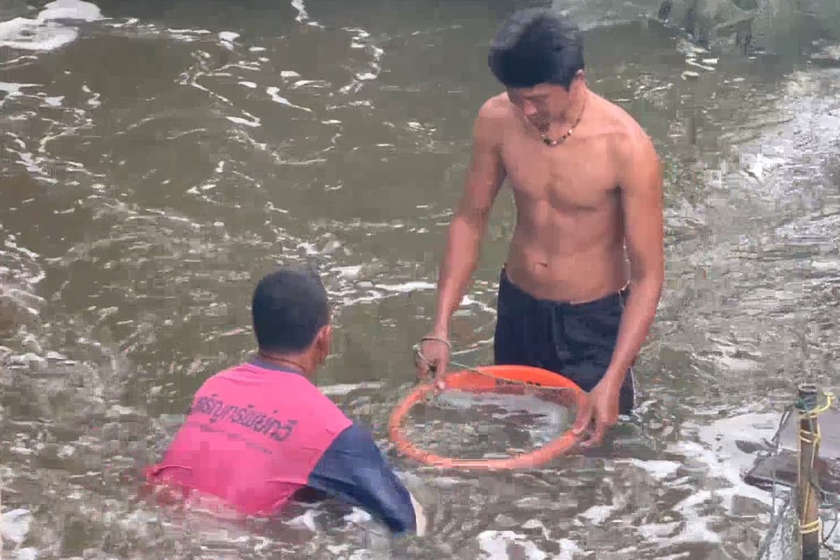 Thai-shrimp-crisis-System-wide-losses- farmers-urge-government-to-urgently-resolve-the-issue-SPACEBAR-Photo02.jpg