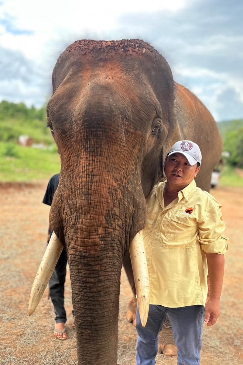 Thai-tourism-is-sluggish-tourists-are-gone-affecting-the-business-of-Chiang Mai-elephant-camps-SPACEBAR-Photo V01.jpg
