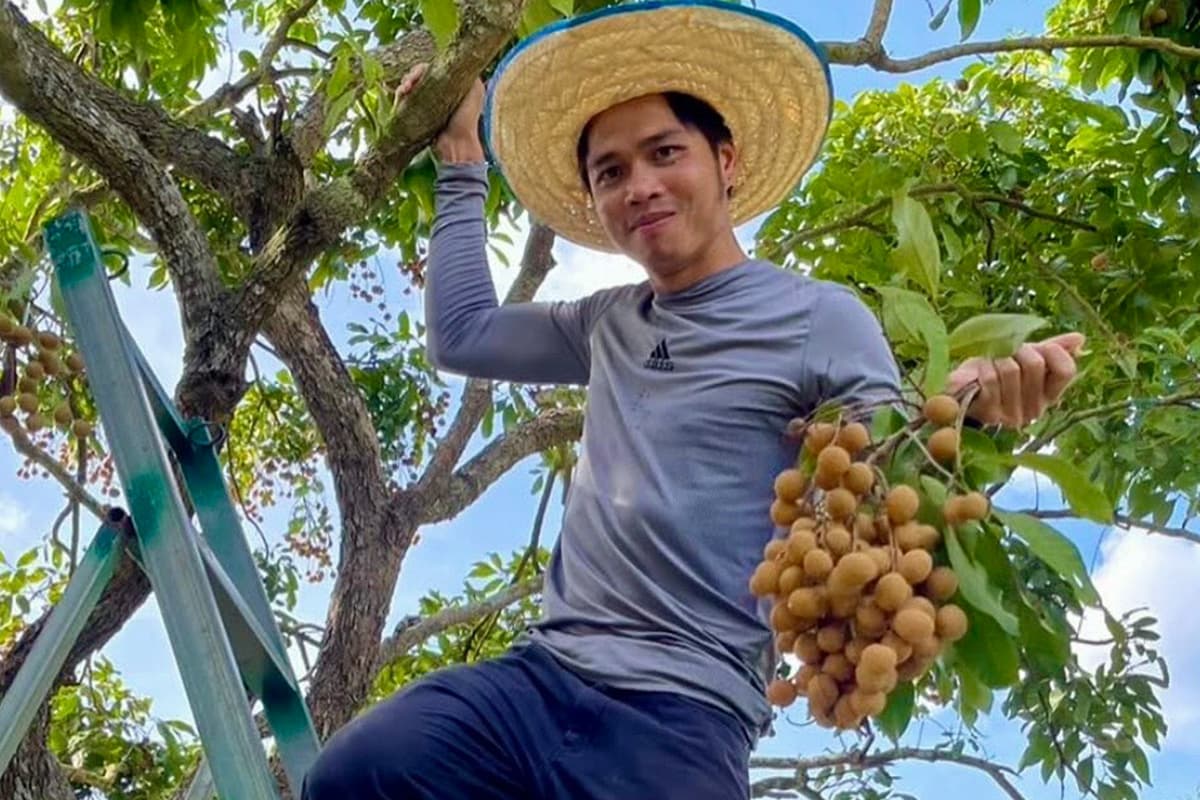 The-Quality-Longan-Orchard-Project-helps-longan-farmers-in-the-northern-region-SPACEBAR-Photo06.jpg