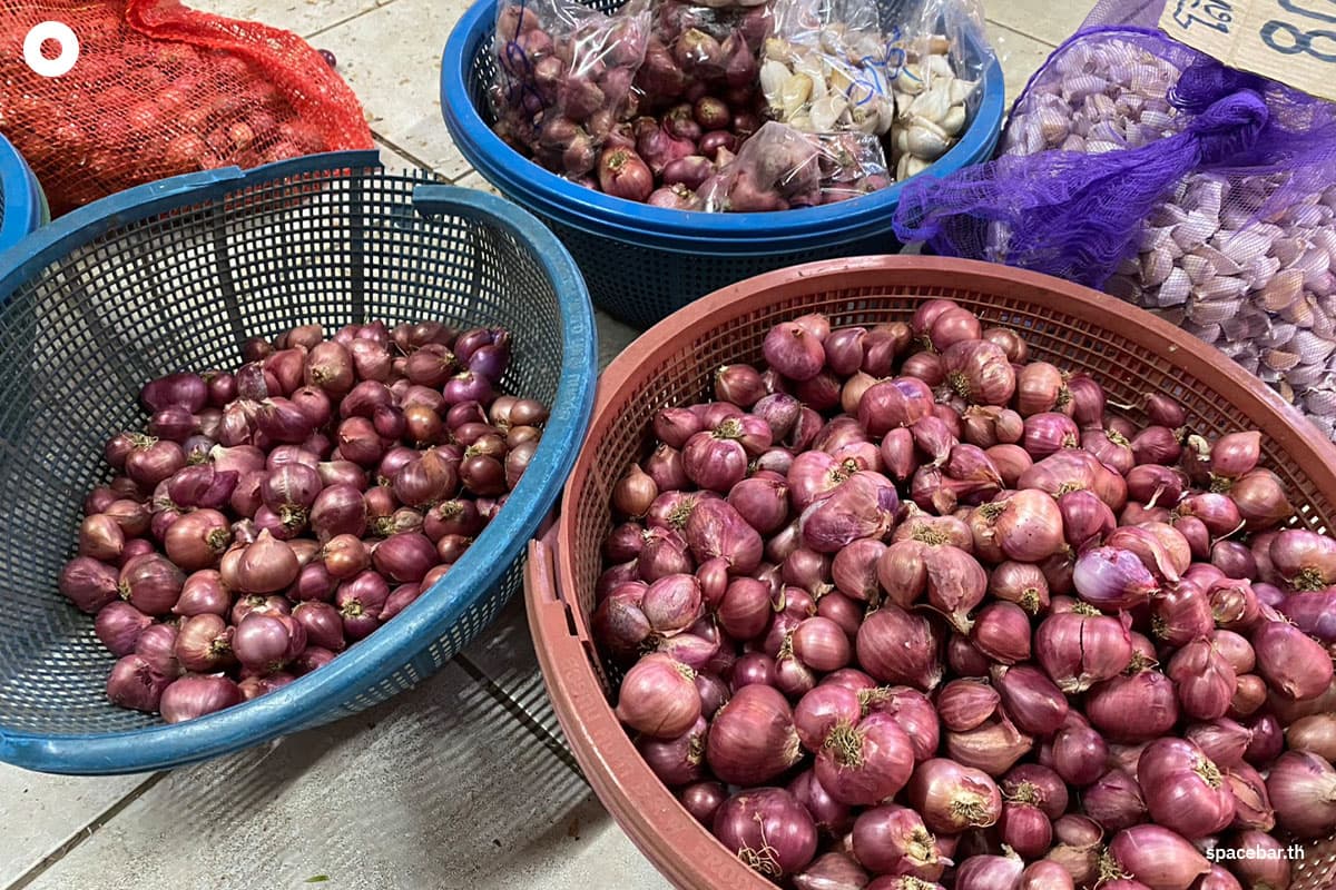 The-plummeting-price-of-shallots-is-severely-impacting-farmers-in-CM-SPACEBAR-Photo01.jpg
