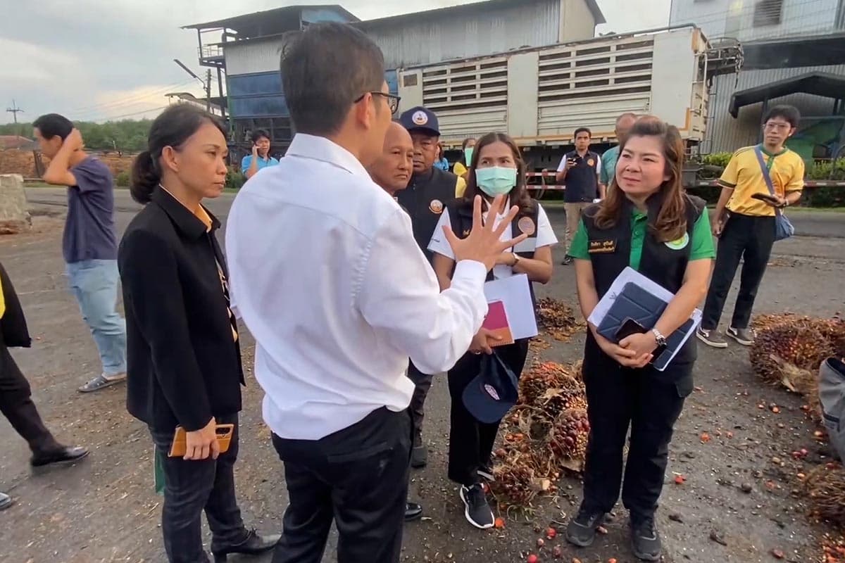 Trang_rushes_to_solve_the_problem_of_palm_oversupply_in_the_market_Factory_buys_at_5_baht_per_kilogram_to_help_farmers_SPACEBAR_Photo03_321b953222.jpg