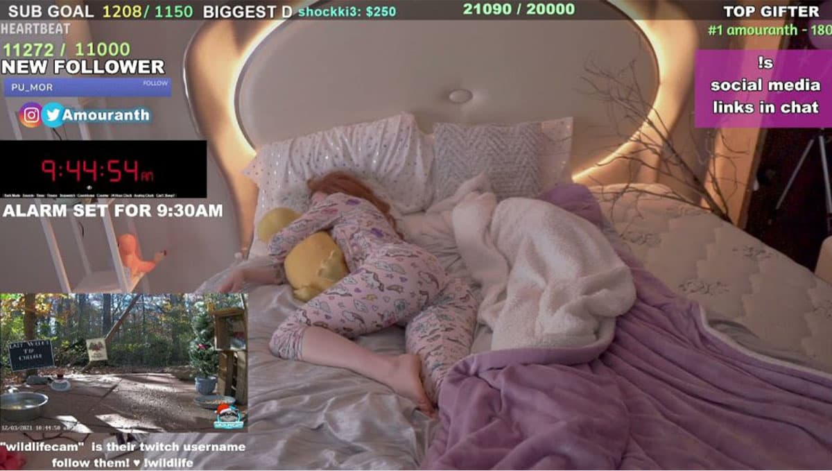 amouranth_twitch_star_streaming_sleeping_make_15000_dollar_a_day_SPACEBAR_Photo01_e56ed2e3d7.jpeg
