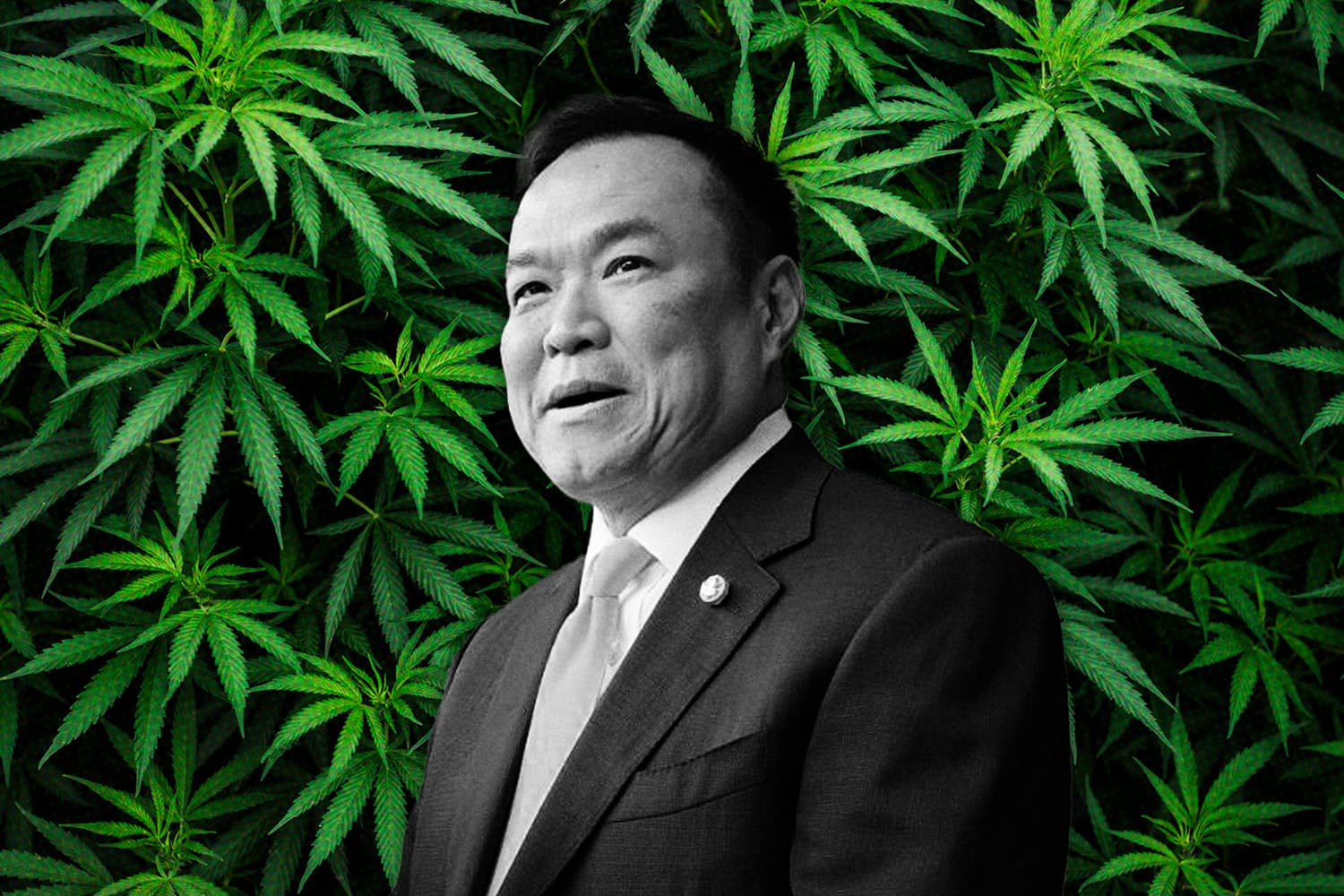 anutin_wanubumrung_cannabis_SPACEBAR_Hero_2411e9386e.jpg