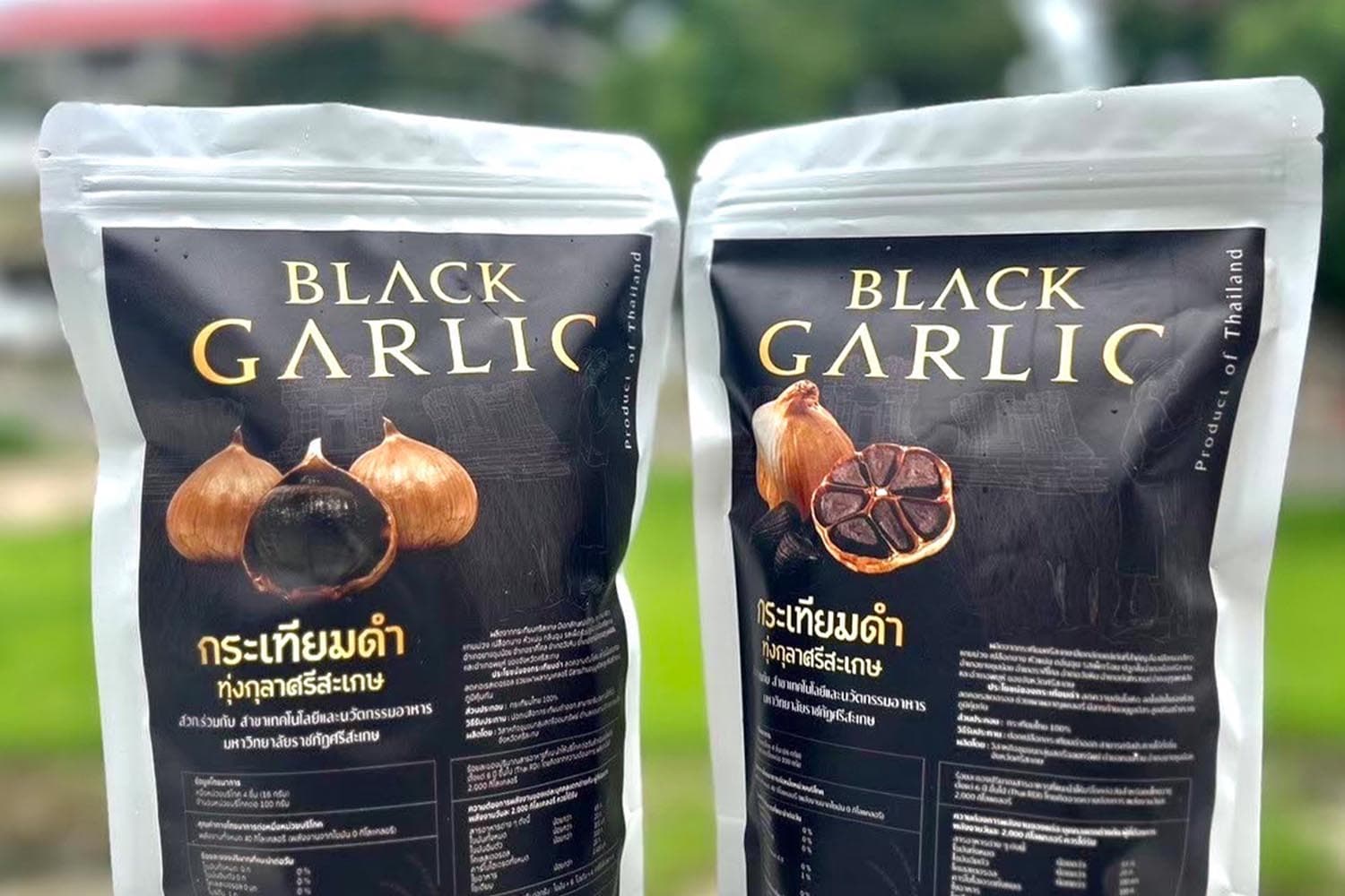 กระเทียมดำศรีสะเกษ พลิกสู่พรีเมียม เกษตรกร ‘ยิ้ม’