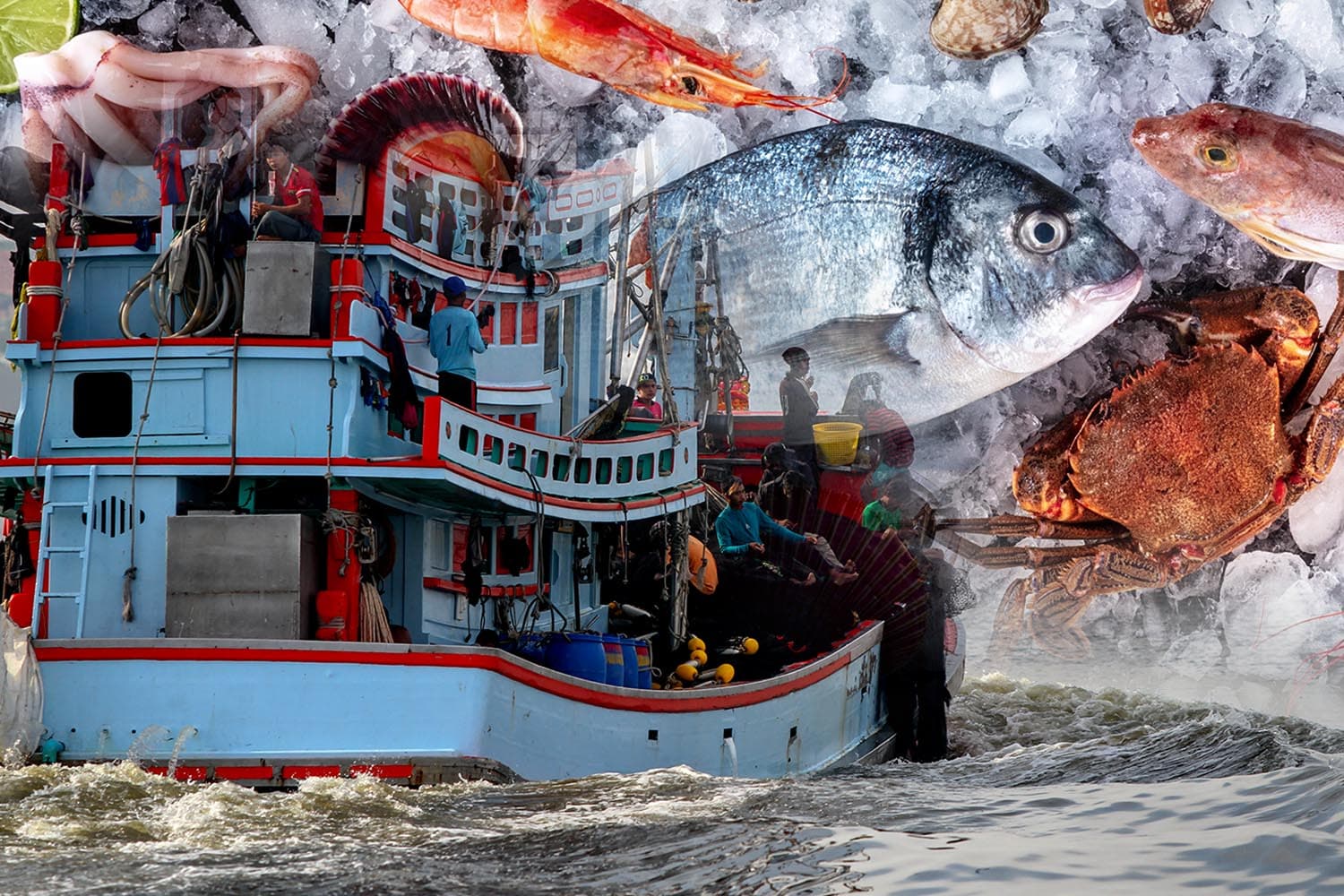 big_city_south_thai_marine_animals_crisis_global_warming_frozen_SPACEBAR_Hero_5051313261.jpg