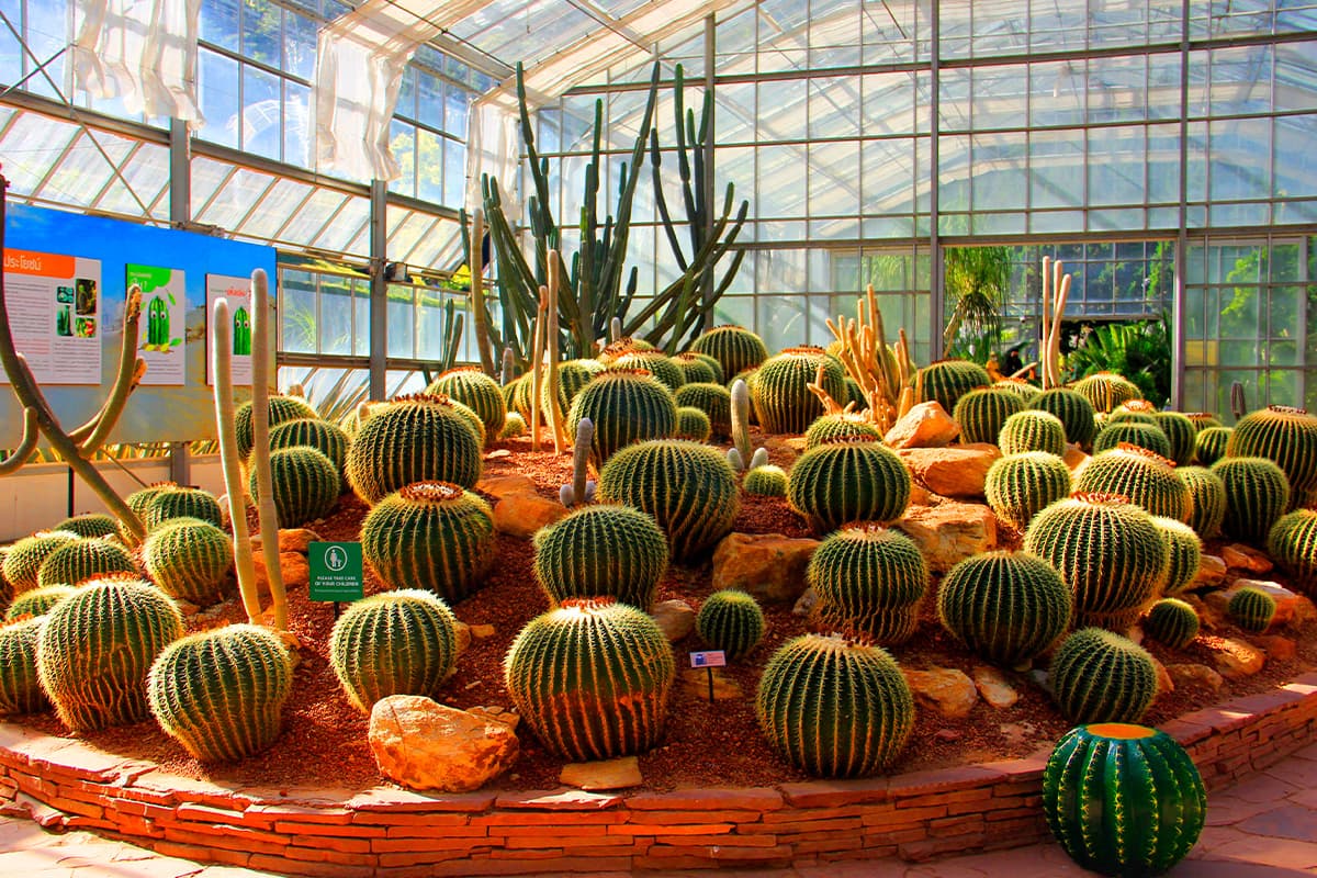 botanic_festival_2024_queen_sirikit_botanic_garden_chiang_Mai_SPACEBAR_Photo03_f8eb798811.jpg