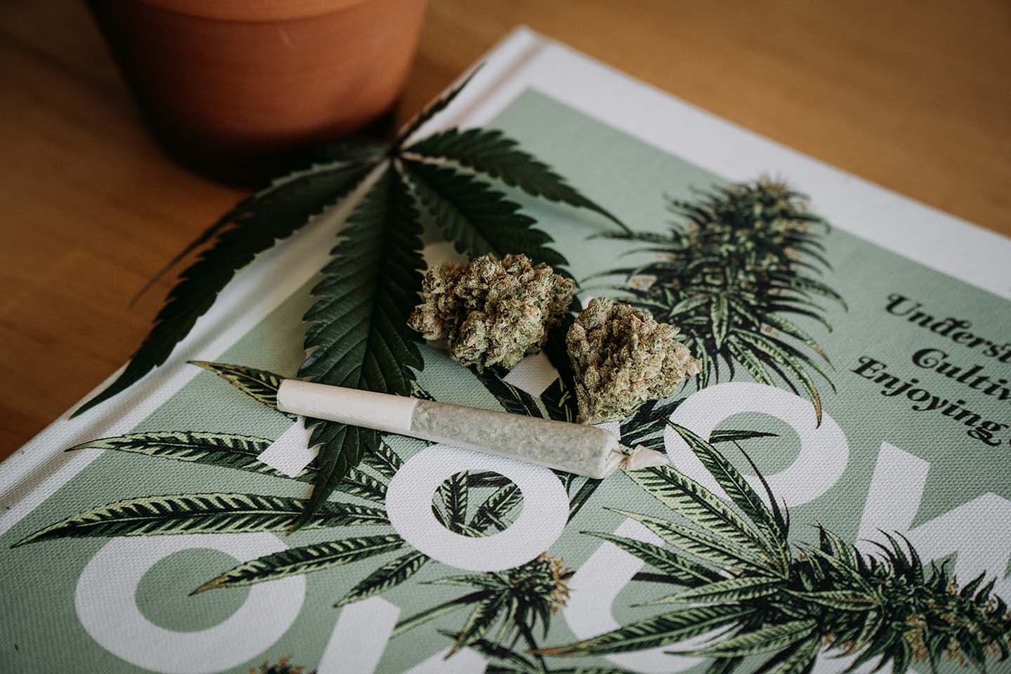 cannabis_side_effects_Main_9c81f176a6.jpeg