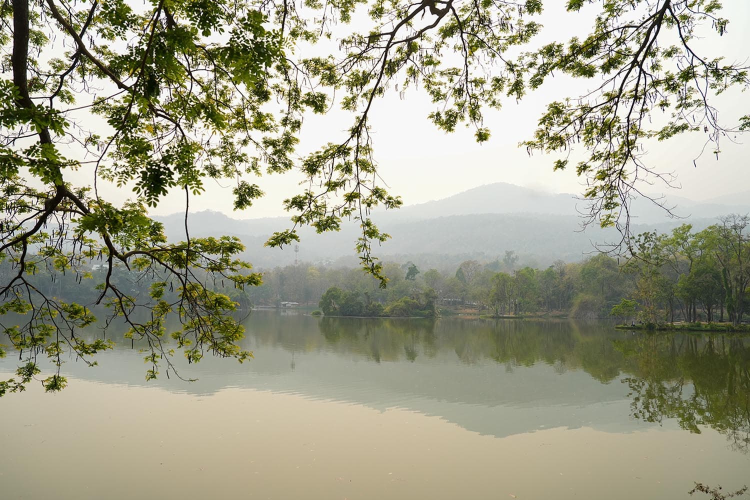 chiang_mai_dust_situation_16_mar_24_SPACEBAR_Hero_6c56ef0181.jpg
