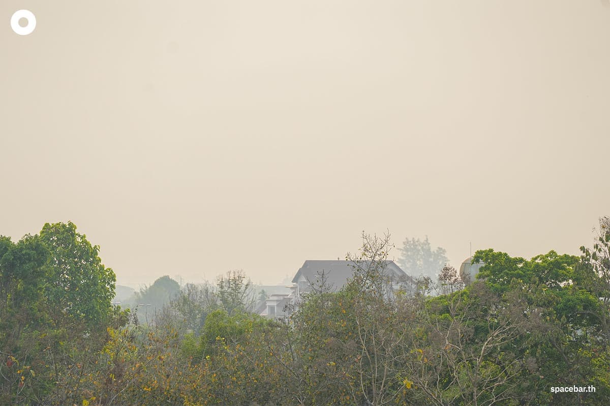 chiang_mai_dust_situation_16_mar_24_SPACEBAR_Photo04_ab70211b47.jpg