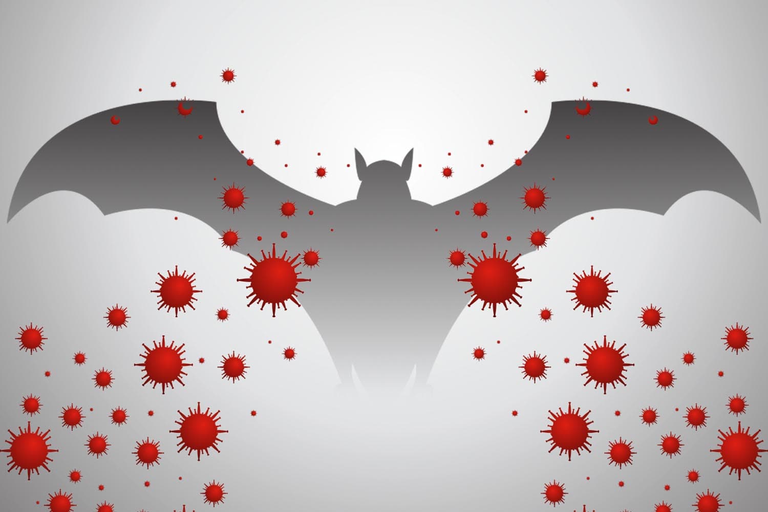 chinese_researcher_find_bat_virus_enters_human_cells_same_pathway_covid_SPACEBAR_Hero_8d54130302.jpg