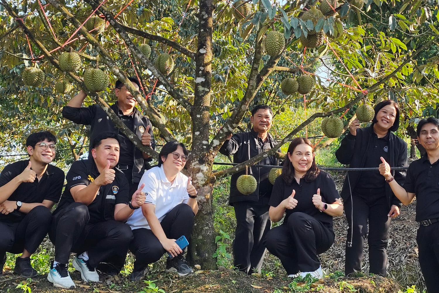 สหกรณ์ดันผลไม้ GI จับมือห้างพยุงราคา