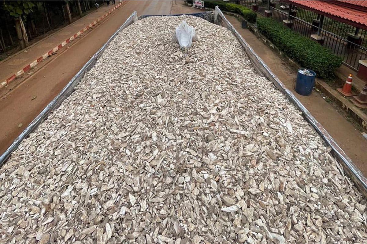 dft_cassava_price_fluctuations_low_quality_import_export_arrest_SPACEBAR_Photo01_b370ed53af.jpg