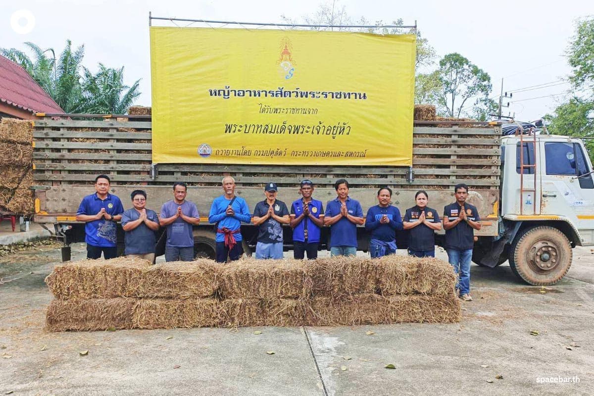 dld-royal-grass-farmers-animals-floods-southern-region-SPACEBAR-Photo01.jpg