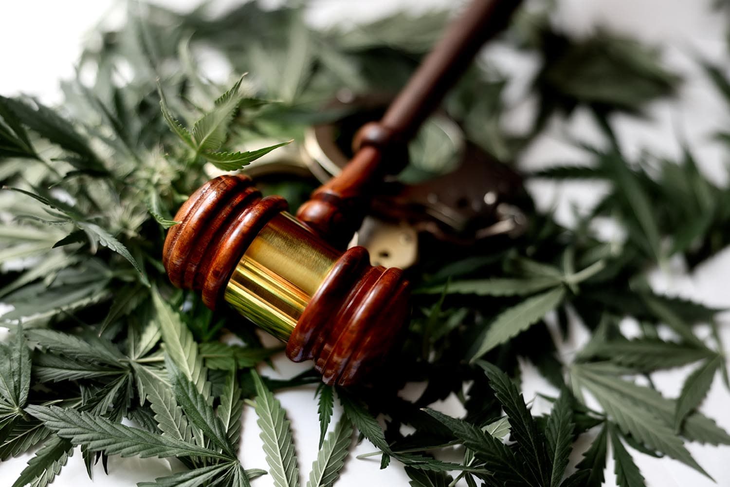 doctors_network_supports_bringing_marijuana_back_to_being_a_drug_SPACEBAR_Hero_3129400415.jpg