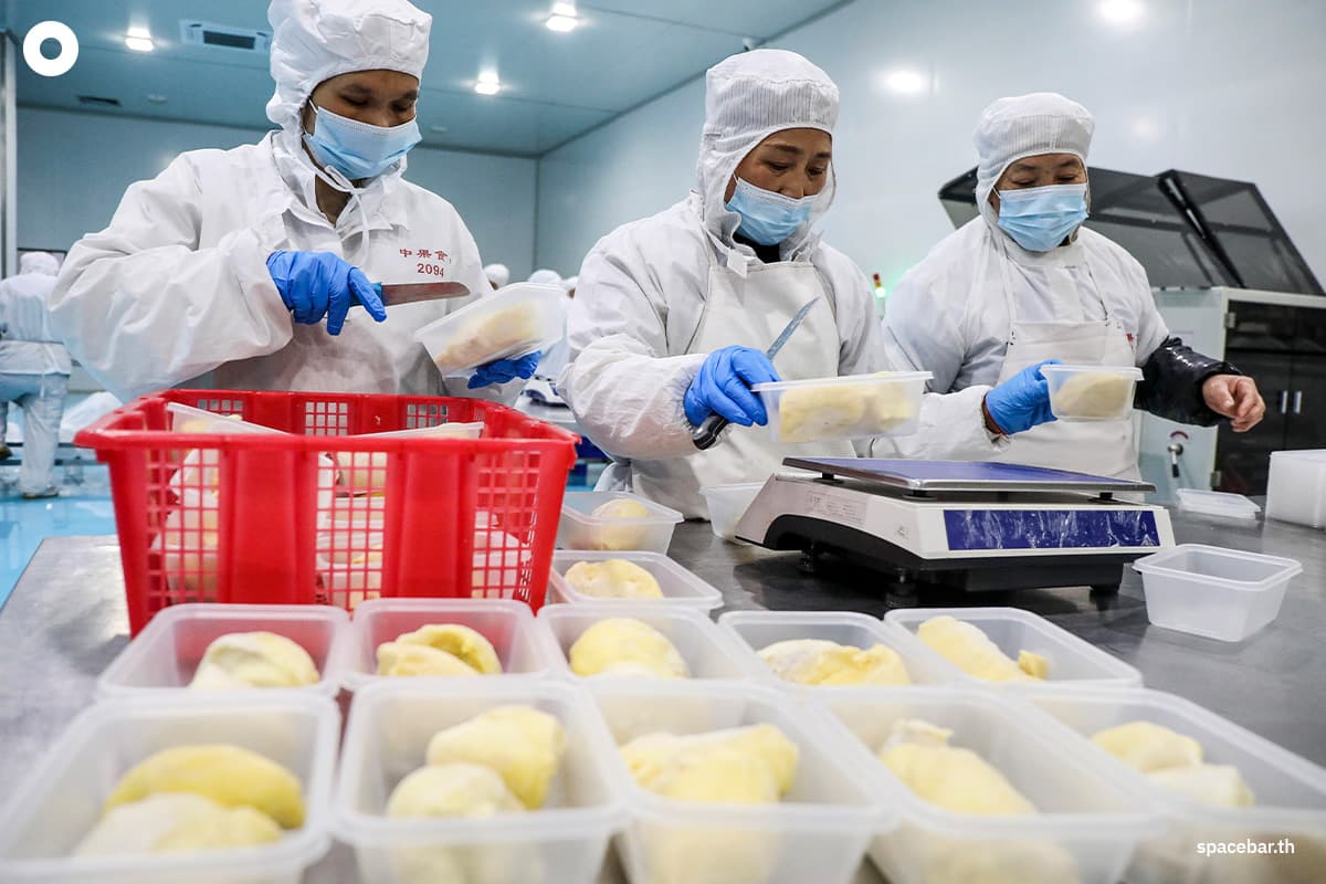 durian_diplomacy_indonesia_aims_exports_frozen_durians_to_china_this_year_SPACEBAR_Photo01_431b42907f.jpg