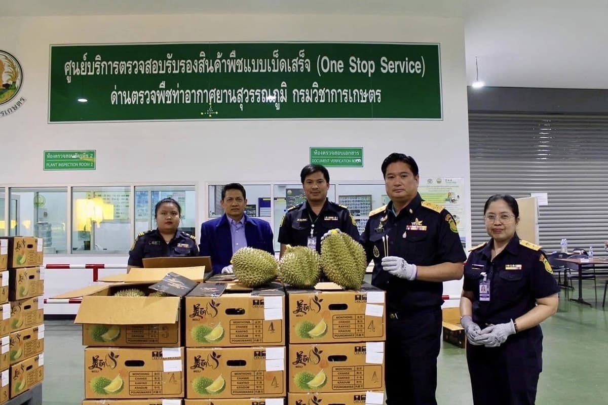 durian_export_China_basic_Yellow2_SPACEBAR_Photo01_f2c9d0144e.jpg