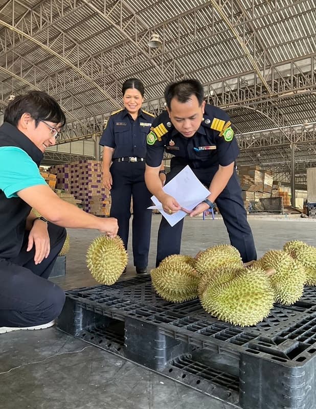 durian_export_China_basic_Yellow2_SPACEBAR_Photo04_c075f193c4.jpg