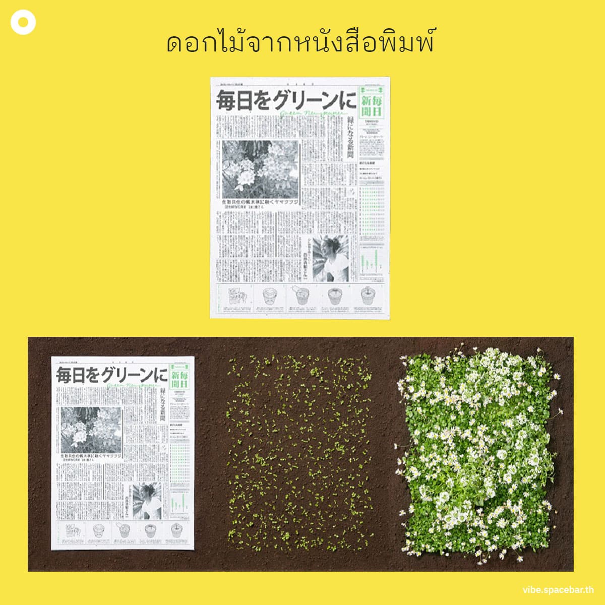 ecoeyes_5_green_ideas_the_most_adorable_earth_saving_innovations_SPACEBAR_Photo_SQ_01_c18d68461a.jpg