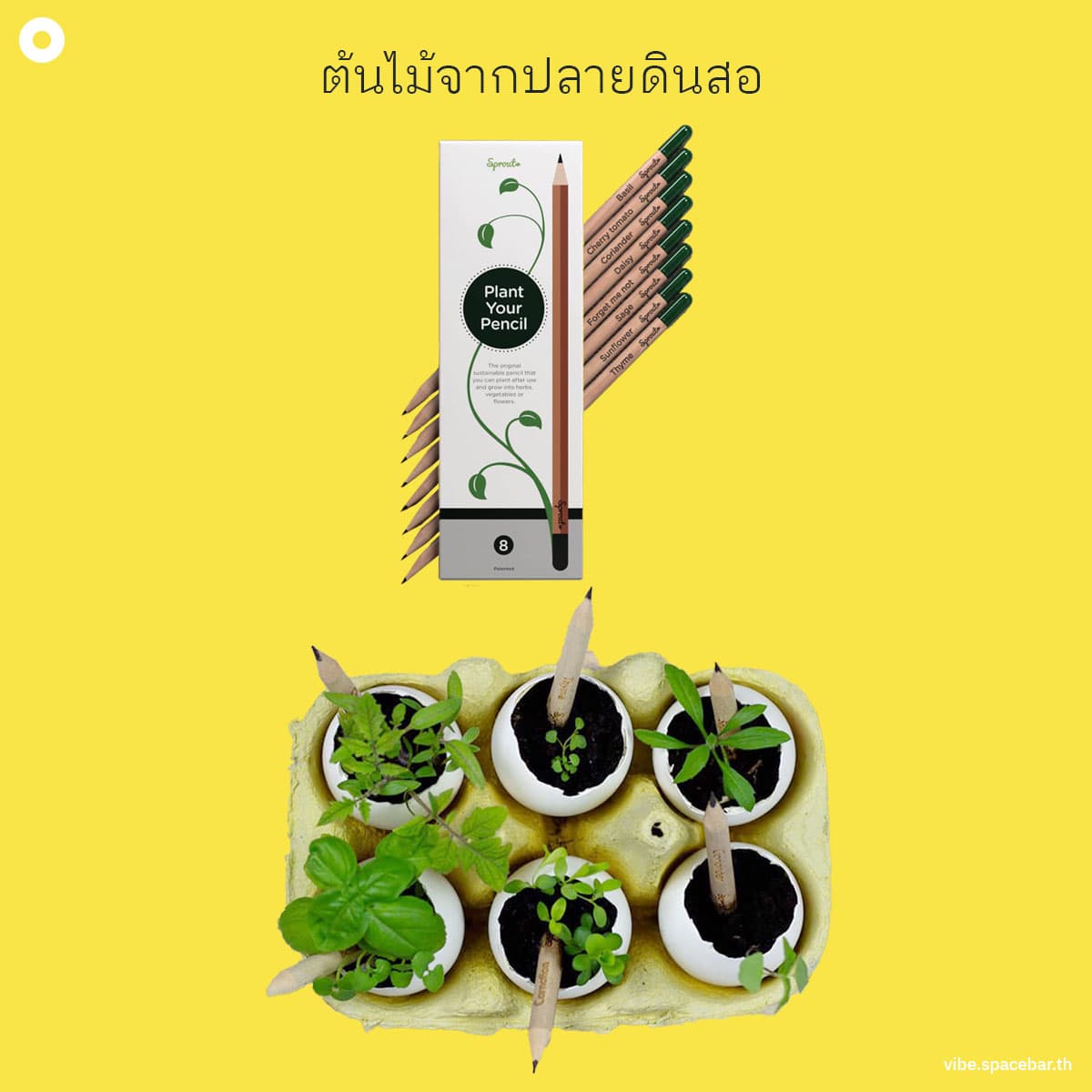 ecoeyes_5_green_ideas_the_most_adorable_earth_saving_innovations_SPACEBAR_Photo_SQ_03_0019c60eb8.jpg
