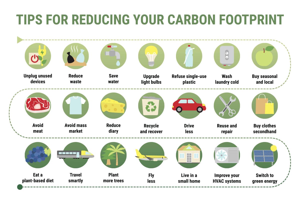 ecoeyes_how_to_heal_the_planet_personal_carbon_footprint_to_net_zero_SPACEBAR_Photo02_ab4ca33f26.jpg