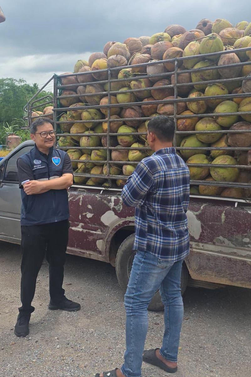 economic-business-thai-coconut-milk-low-prices-SPACEBAR-Photo V01.jpg