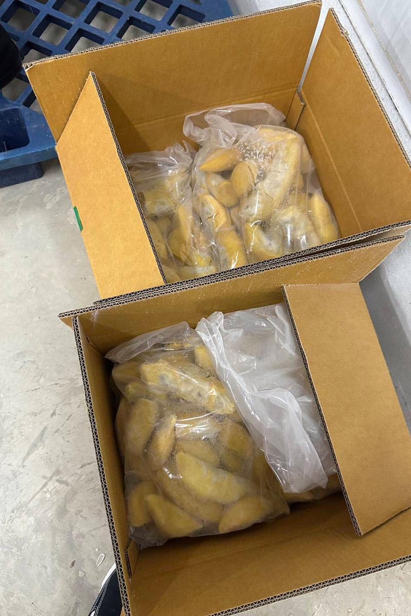 economic-business-thai-frozen-durian-SPACEBAR-Photo V01.jpg